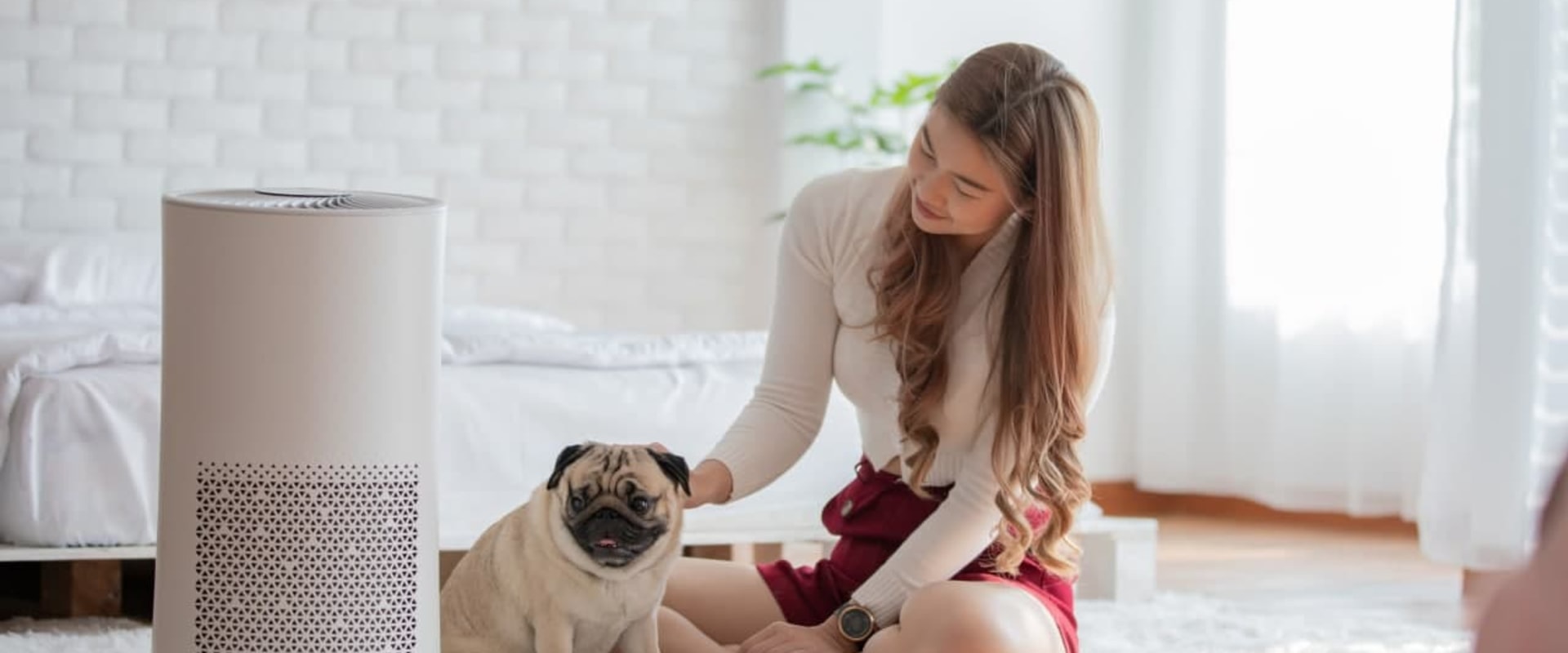 Best 16x24x1 Air Filters for Pets, Allergies & Clean Living