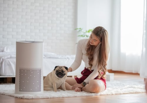 Best 16x24x1 Air Filters for Pets, Allergies & Clean Living